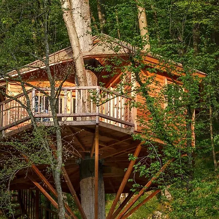 Baumhaushotel Seemuhle *