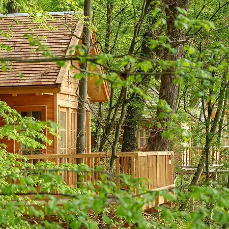 Πάρκο διακοπών Baumhaushotel Seemuhle