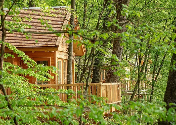 Holiday park Baumhaushotel Seemuhle