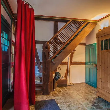 Baumhaushotel Seemuhle Parco vacanze