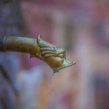 منتزه العطل Baumhaushotel Seemuhle